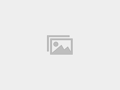 Risk Adviser Program