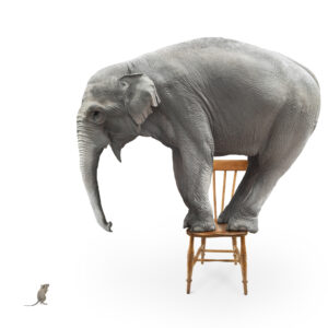 Persuasive Adviser Program - ONLINE