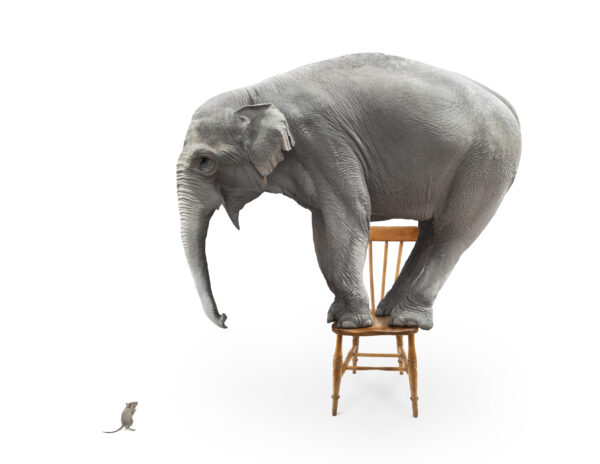 Persuasive Adviser Program - ONLINE