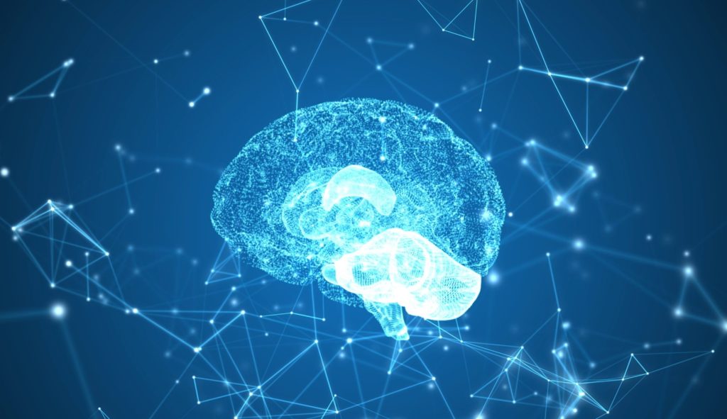 Your Brain’s Lying To You